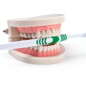 Prothesen Grundreinigung und Desinfektion